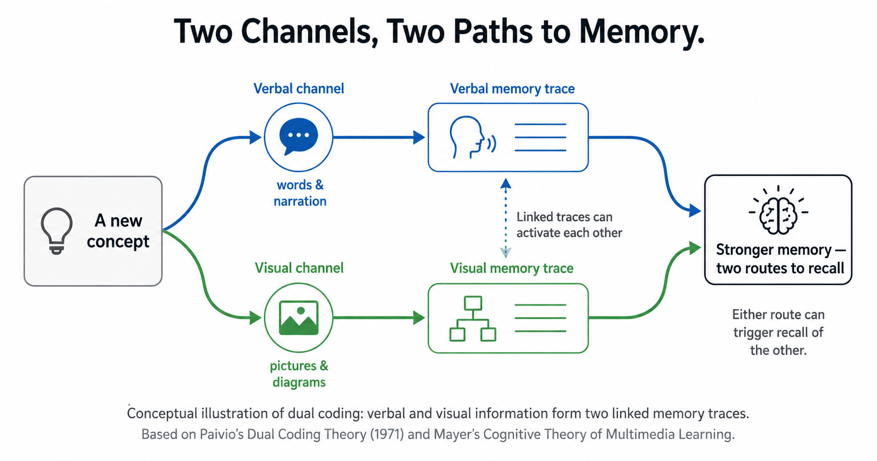 Two channels, two paths to memory — a new concept encoded through the verbal channel (words and narration) and the visual channel (pictures and diagrams) forms two linked memory traces, giving two routes to recall